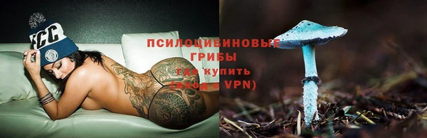 экстази Арсеньев