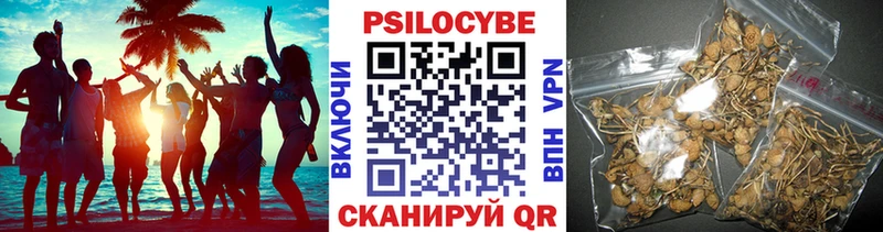 наркотики  Знаменск  Галлюциногенные грибы Cubensis 